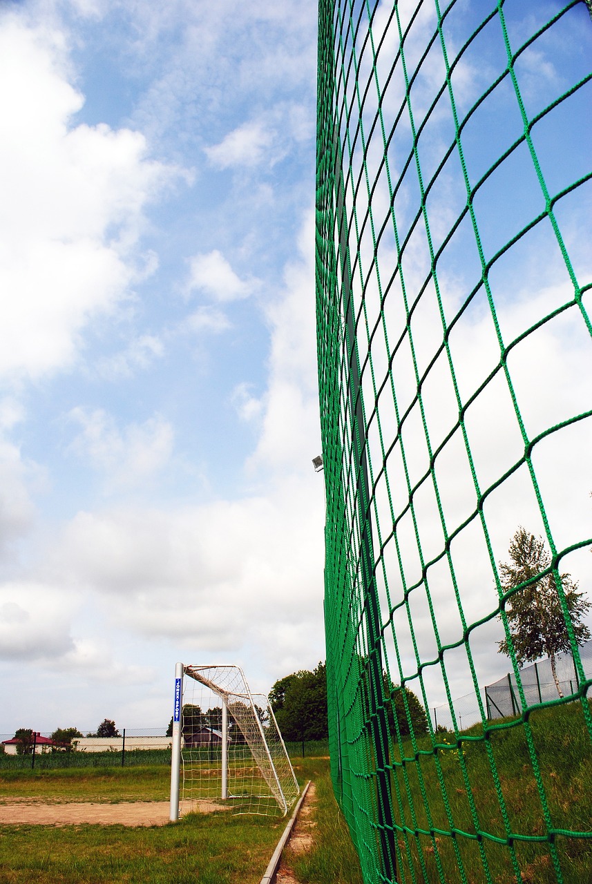 也可以回顾 也可以回顾