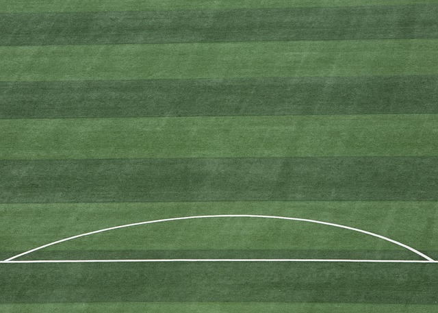 员的培养和 员的培养和