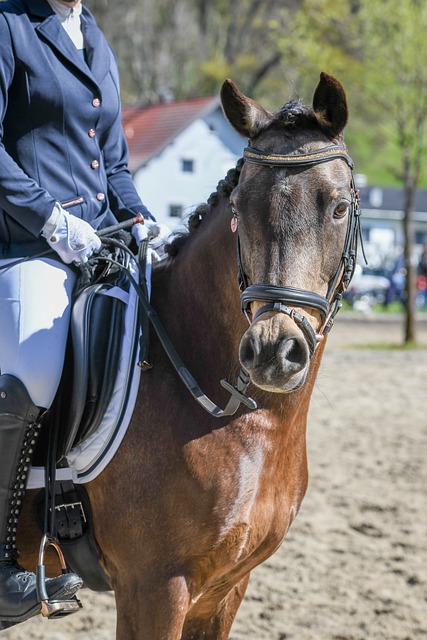 清理违法违规信息160万余条，处置账号7.6万个！挑动互撕、编造谣言、冒用运动员名义……有关部门出手了！.