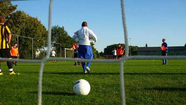 从而提升整 从而提升整