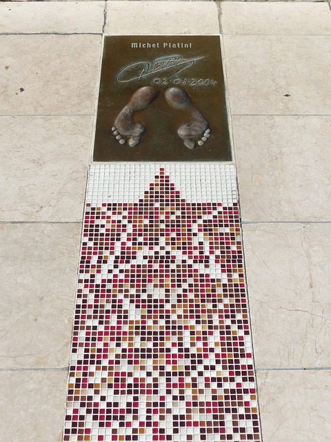 仅对职业运 仅对职业运